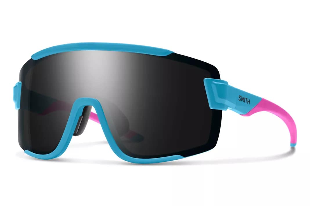 Lentes Smith Wildcat