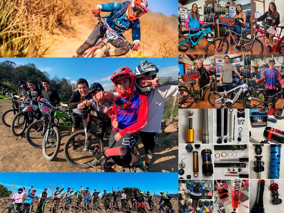 Collage Traildog: pilotos de carrera, clientes en el taller y piezas de suspensión