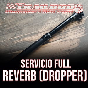 Servicio Full Reverb (dropper)