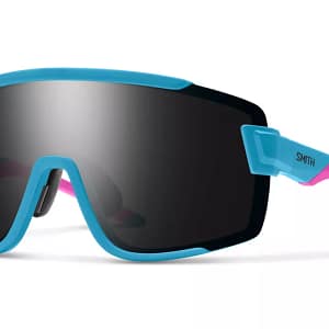 Lentes Smith Wildcat