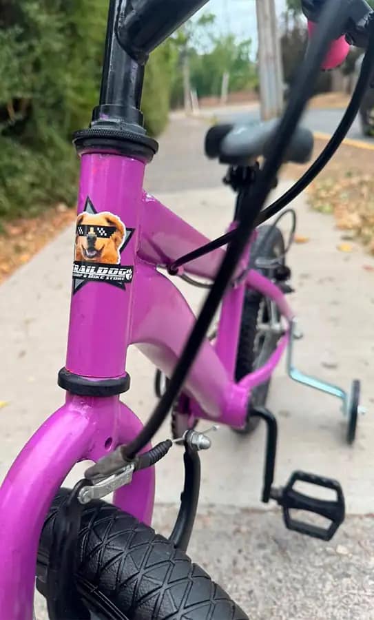 Bicicleta infantil con sticker Traildog atendida en el taller